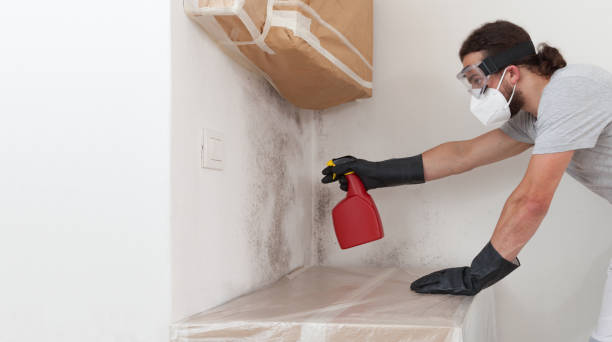 Professional Attic Mold Remediation technician working in Lake Kerr, FL