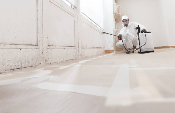24/7 Emergency Attic Mold Remediation experts in Lake Kerr, FL