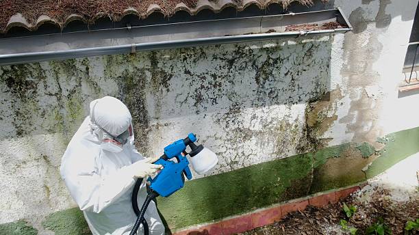 Top rated local Attic Mold Remediation specialists in Lake Kerr, FL